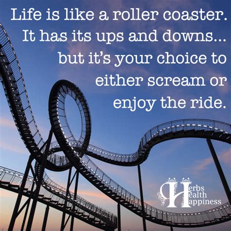 titles that are similar to lifes a rollercoaster